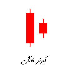 الگوی کبوتر خانگی